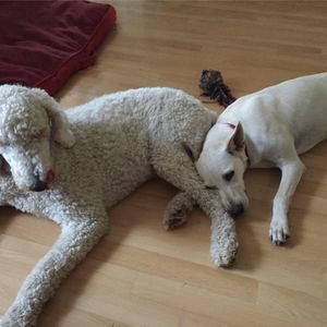 Meet your Posher, Danette